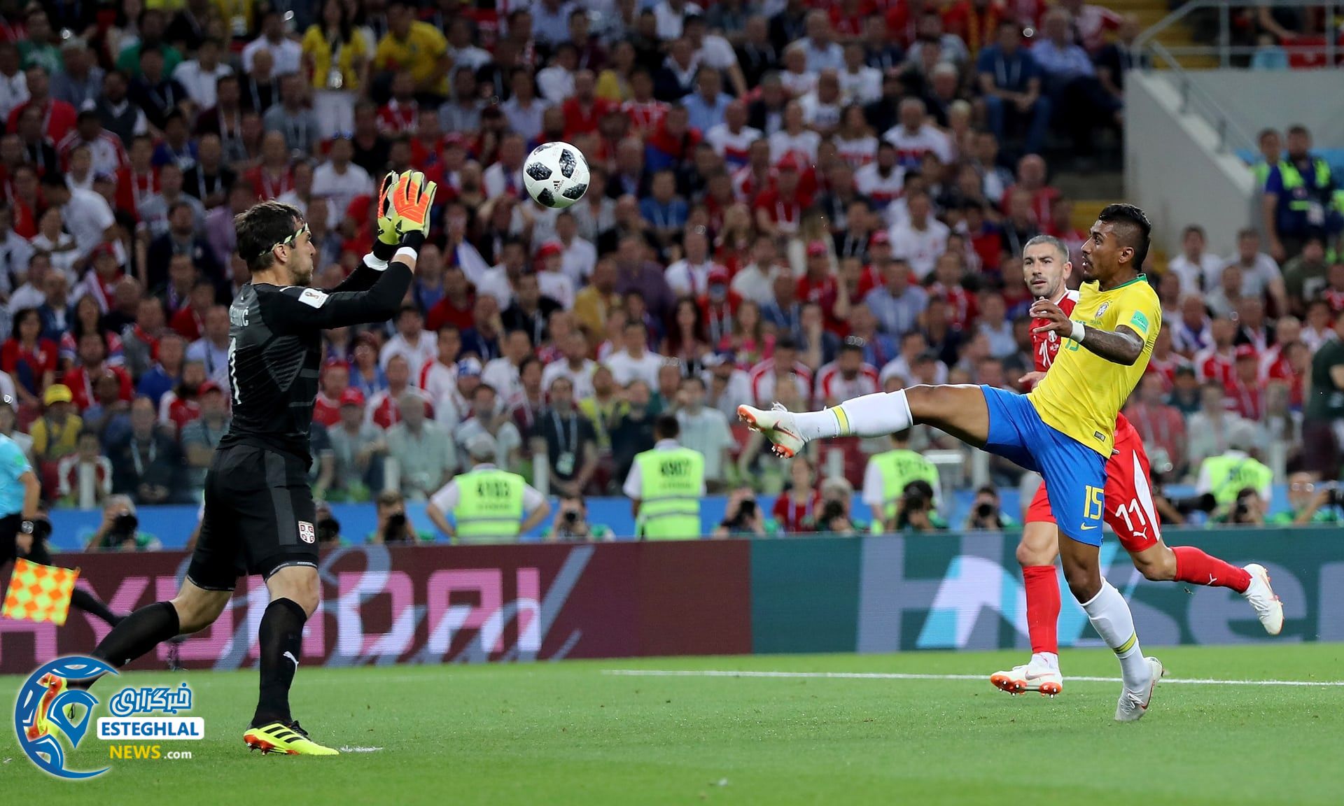 صربستان و برزیل