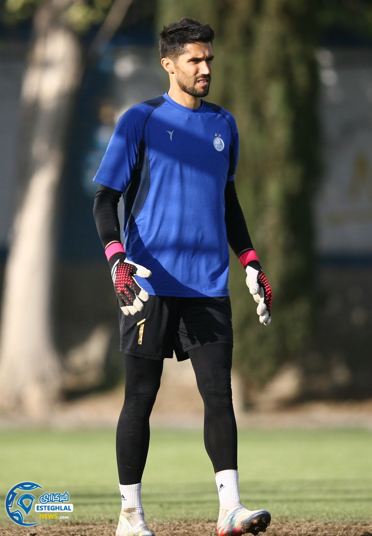 تمرین استقلال