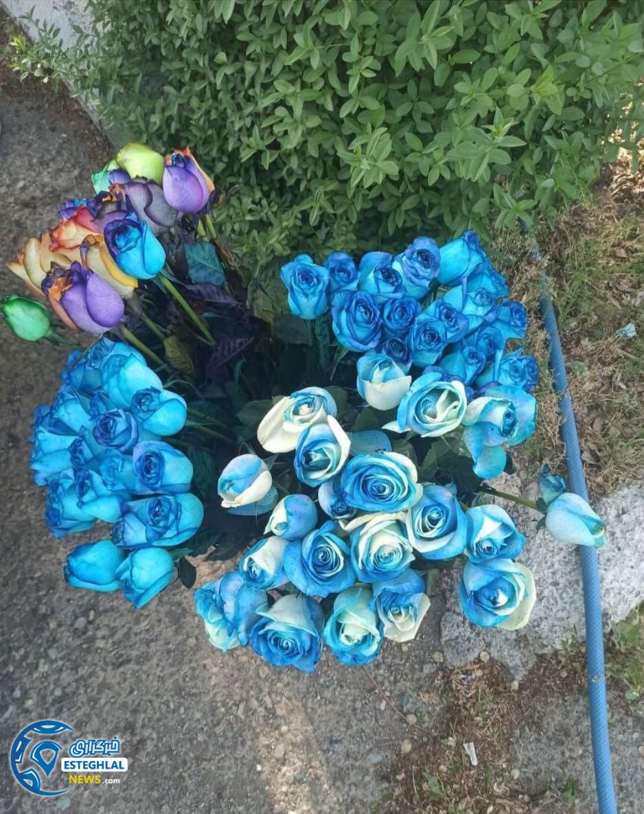 حواشی دیدار استقلال و نساجی