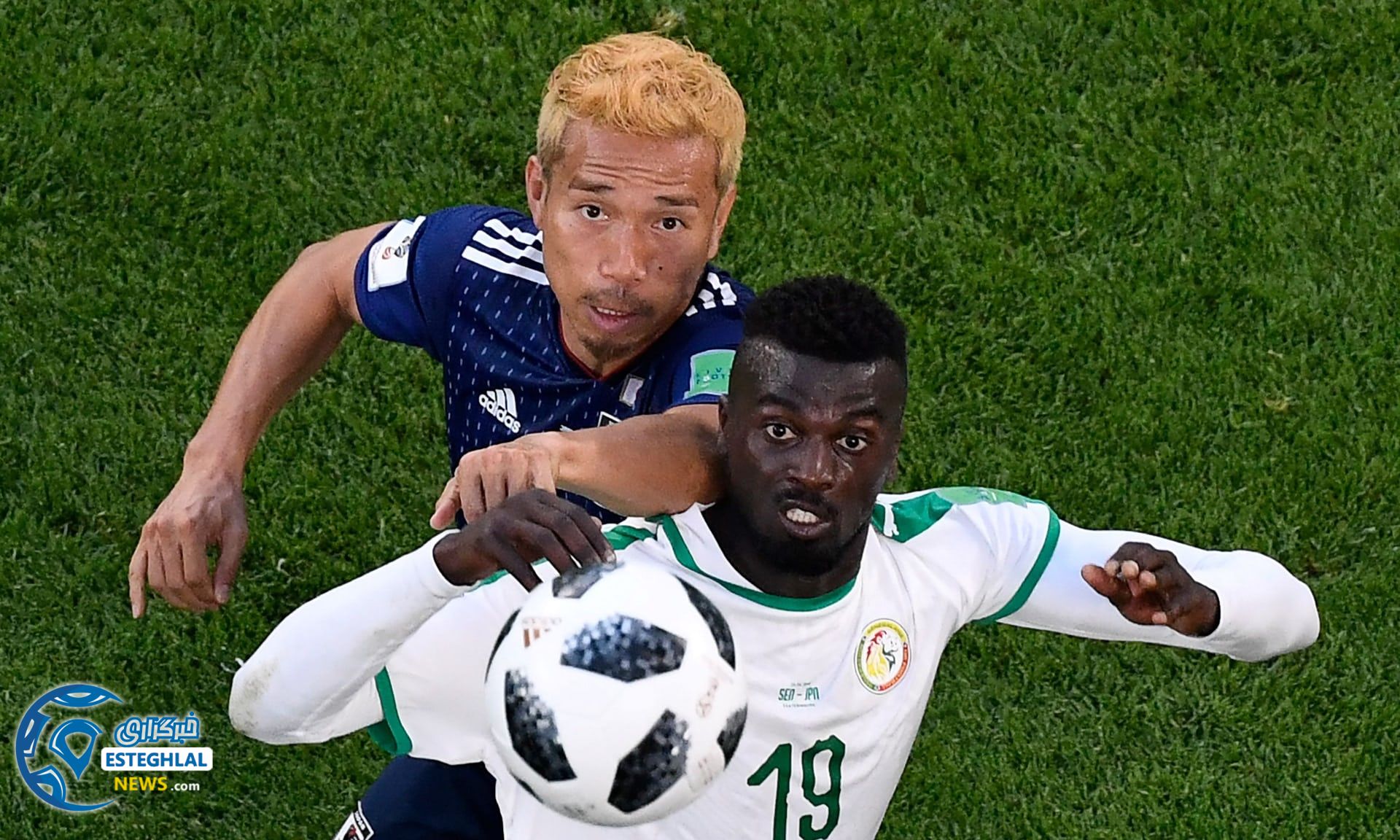 دیدار ژاپن و سنگال