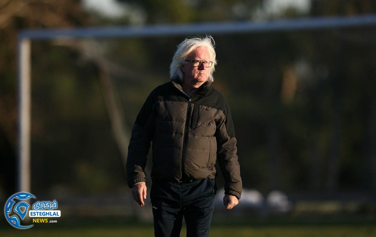 وینفرید شفر