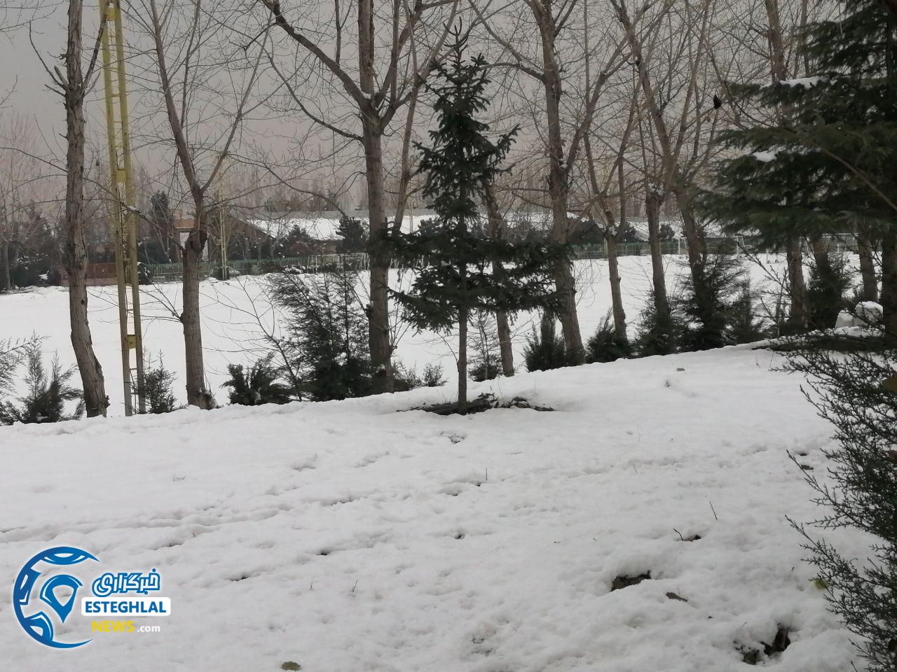 زمین تمرین استقلال