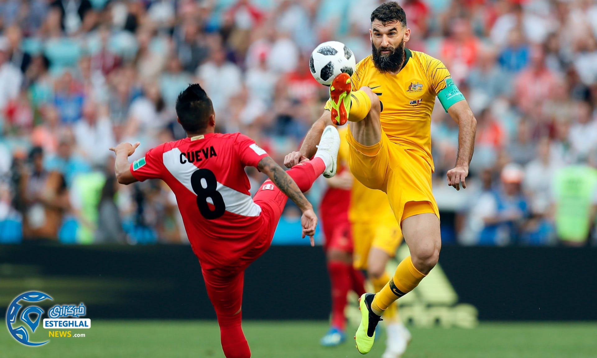 دیدار استرالیا و دانمارک