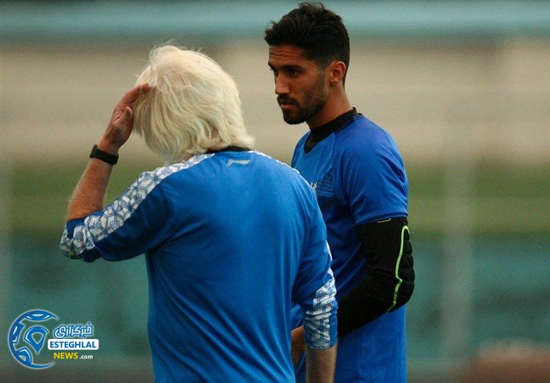 وینفرید شفر