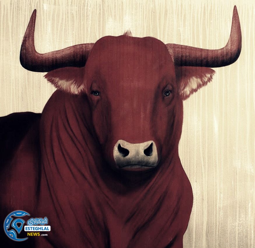 2007 Red bull 06 170x150 TM