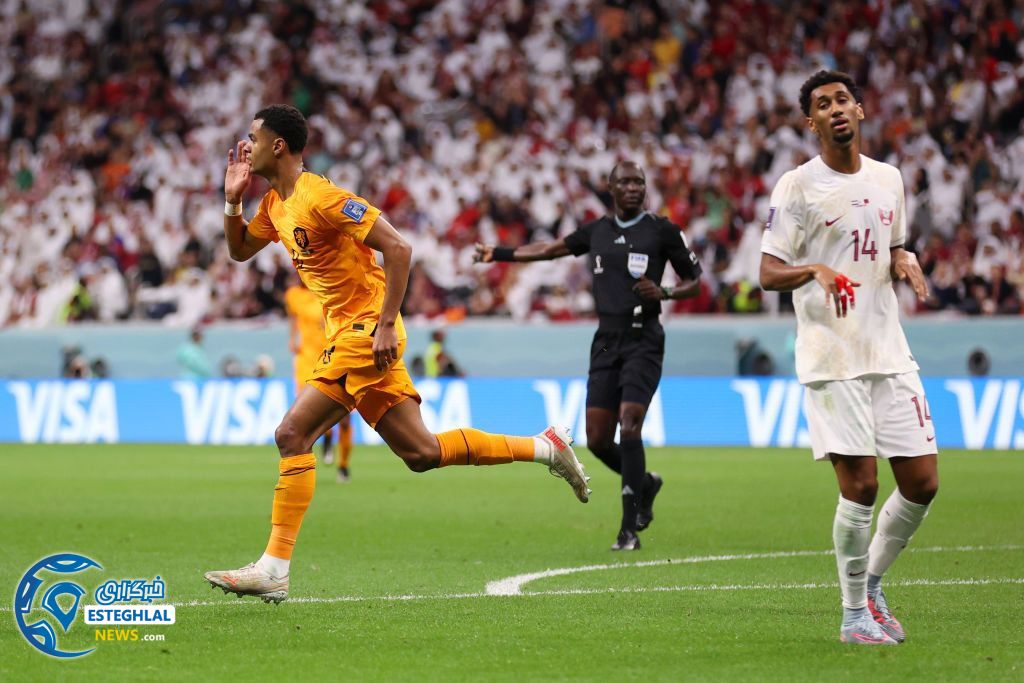 هلند 2-0 قطر