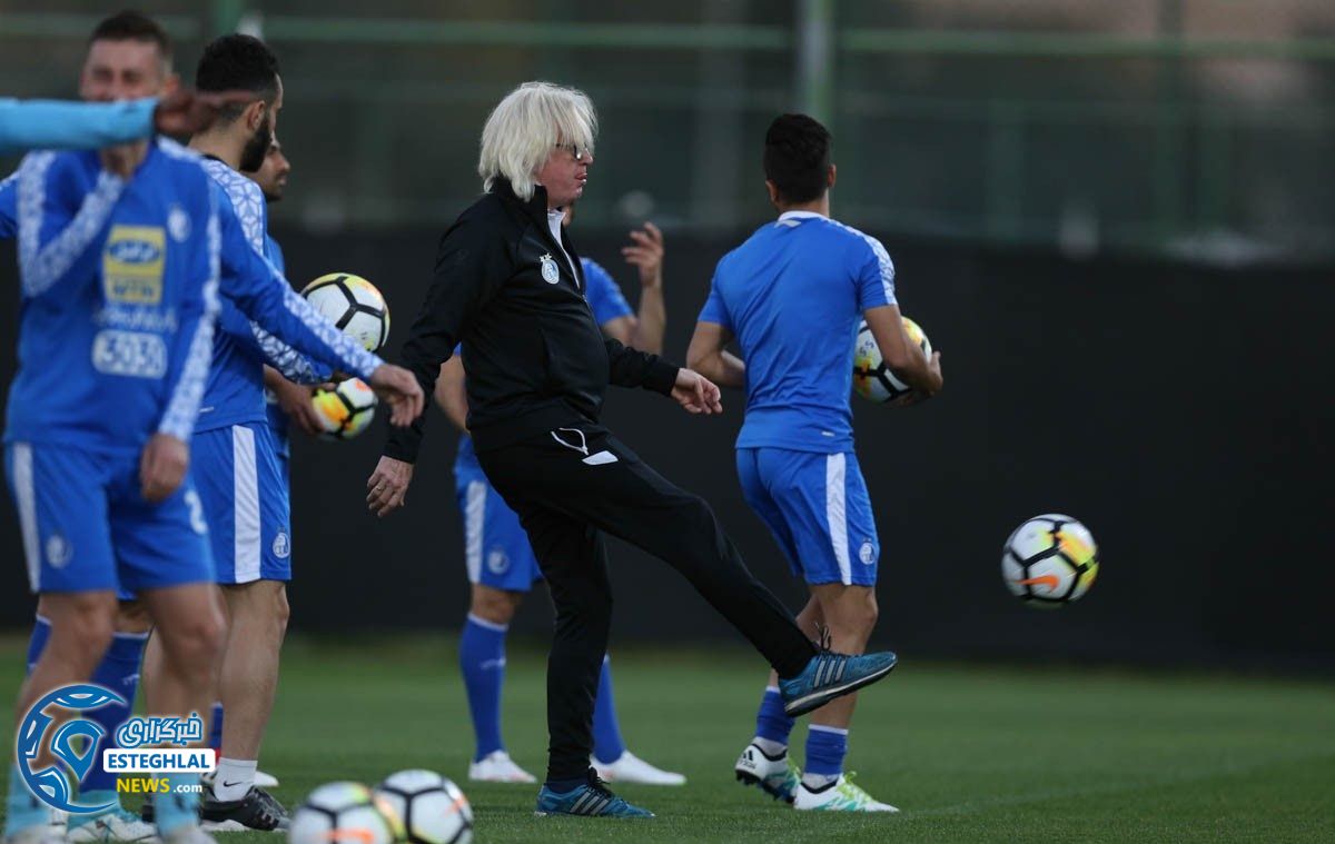 وینفرید شفر