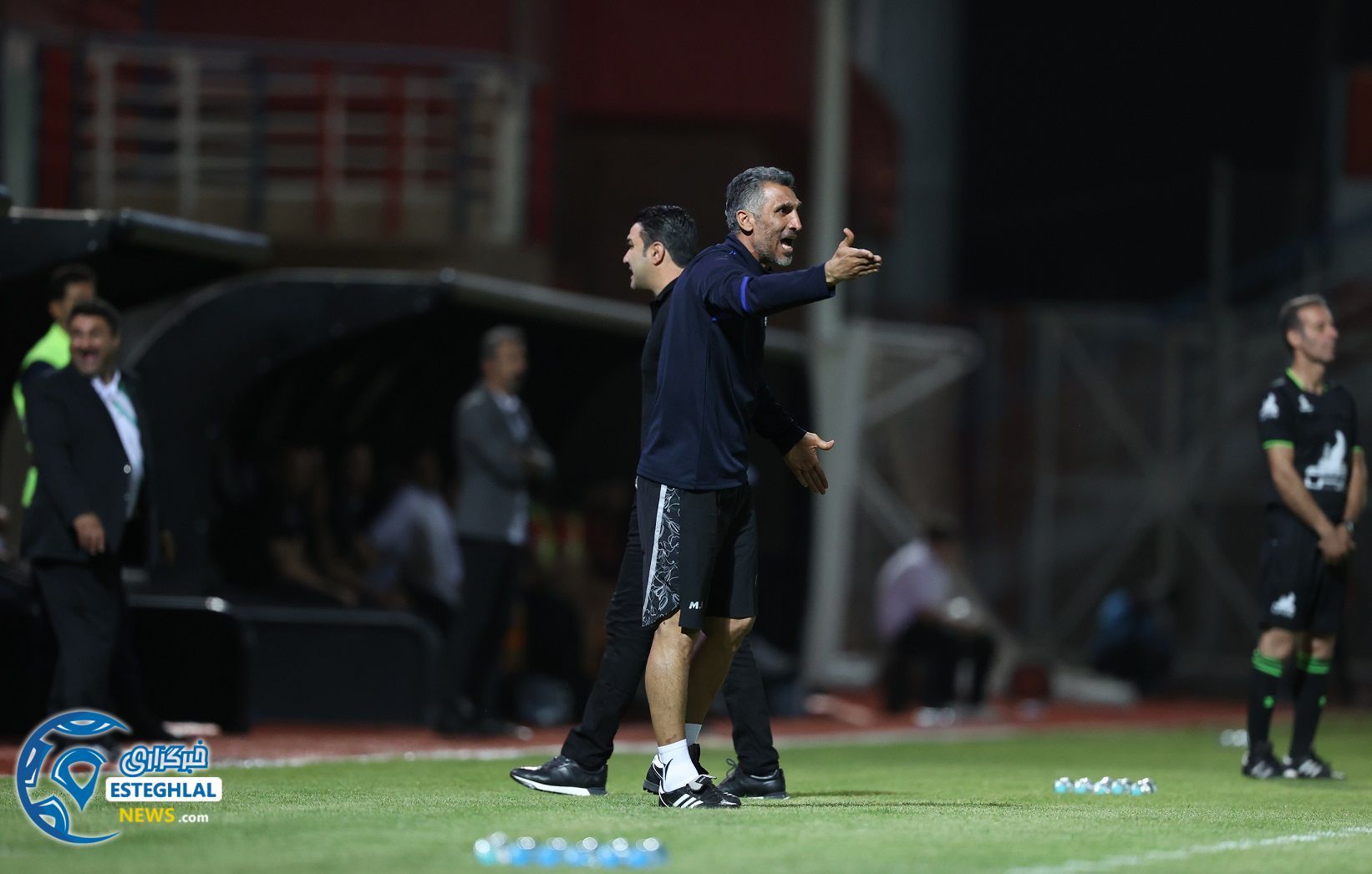 مهدی هاشمی‌نسب