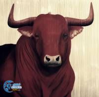 ادامه مطلب...