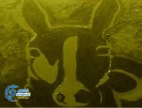 ادامه مطلب...