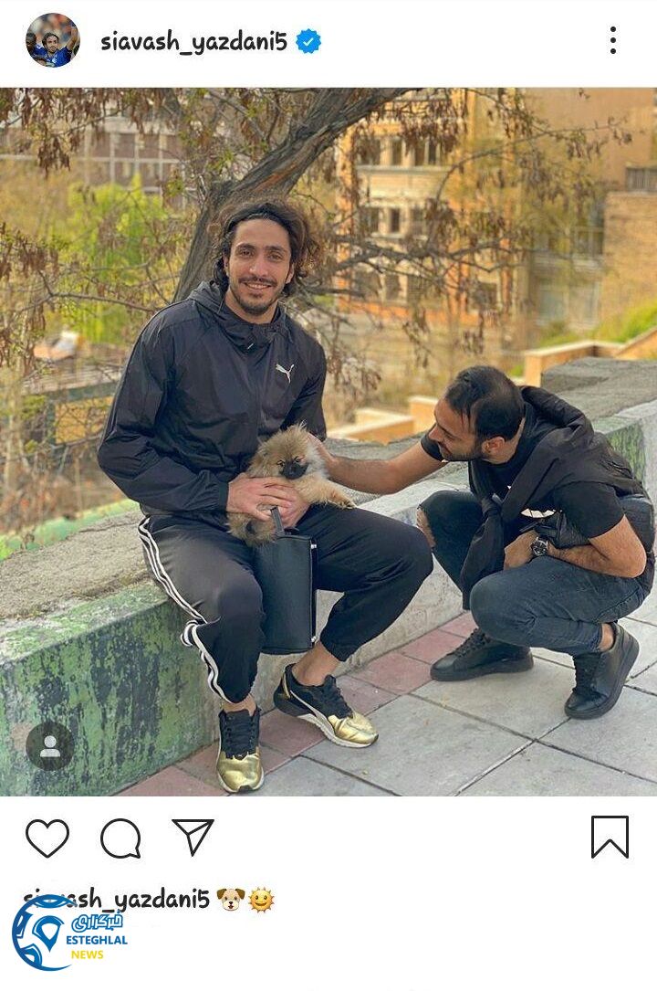 سیاوش یزدانی